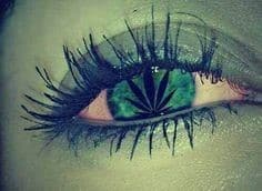 cannabis-yeux