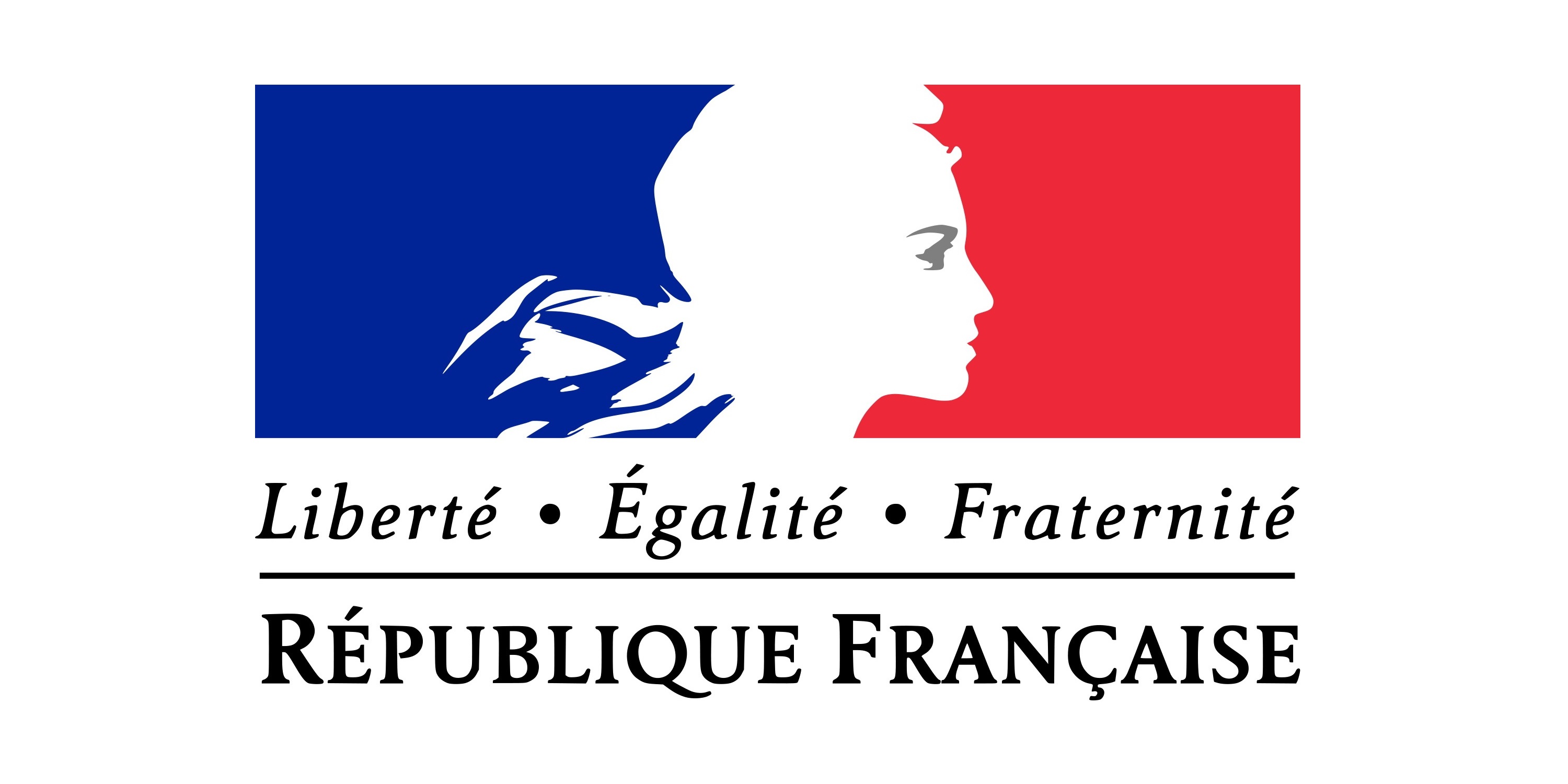 Rapport sur le Bien-être et l’efficacité au travail - Lachmann, Larose, Penicaud