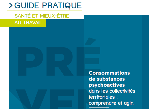 Un nouveau guide méthodologique MNT destiné aux décideurs de la fonction publique territoriale