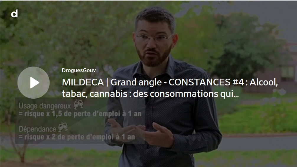 MILDECA | Grand angle - CONSTANCES #4 : Alcool, tabac, cannabis : des consommations qui augmentent le risque de perte d’emploi