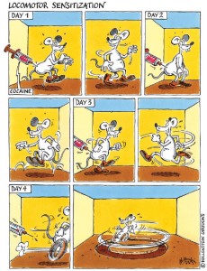8-locomotor-sensitization