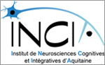 Institut de Neurosciences Cognitives et Intégratives d'Aquitaine - UMR 5287