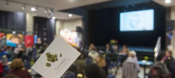 Légalisation du cannabis : taxer pour mieux prévenir