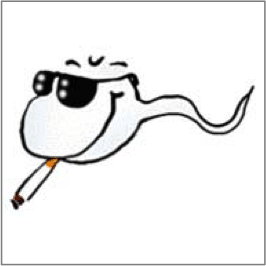 tabac3