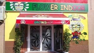 cannabis-espagne