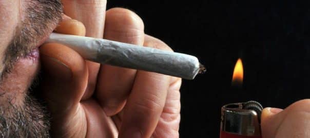 CANNABIS / Comment le cannabis perturbe la mémoire