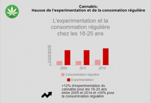 infographie-cannabis