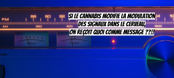 CANNABIS / Quand la recherche sur le cannabis fait progresser les neurosciences