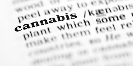 ALCOOL, CANNABIS / Les bons élèves en consommerait plus