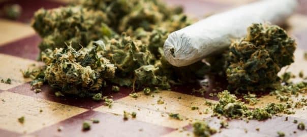 CANNABIS / Un nouveau rapport conseille aux parents de l'interdire à leurs ados