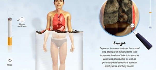TABAC / 11 infographies expliquant ce que fumer fait à chaque partie de votre corps