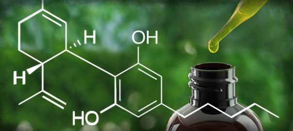 L'ambivalence du cannabidiol, produit récréatif ou thérapeutique ?