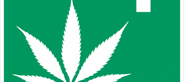 La France réfléchit à légaliser le cannabis thérapeutique