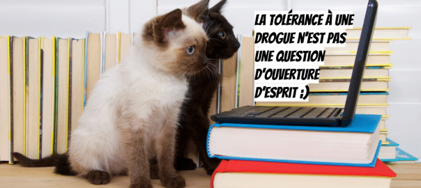 Tolérance et Addiction, un article du site maad-digital