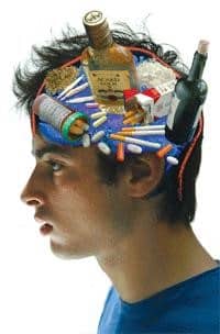 Addiction - La partie antérieure de l’insula joue un rôle clé dans la régulation des processus de prise de décision associés aux addictions