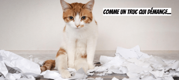 Impulsivité et addiction