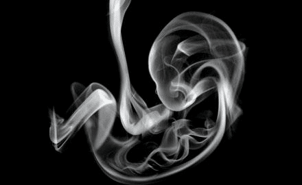 Estimation des surcoûts de santé liés à l’usage de tabac pendant la grossesse : une étude de cohorte parue dans Addiction.