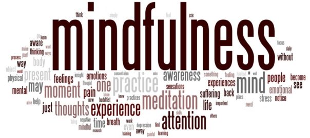 Impact d’une intervention parentale de type mindfulness sur la qualité de la relation parent/enfant chez les usagers d’opiacés