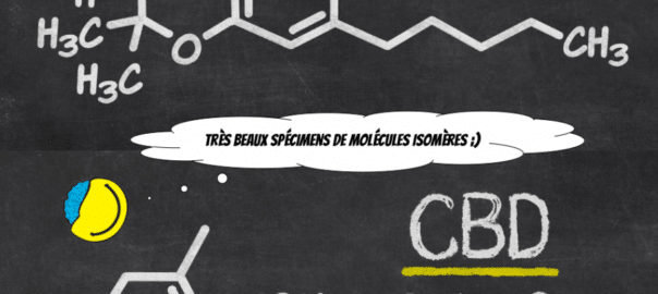 Cannabidiol, une molécule qui fait parler d'elle