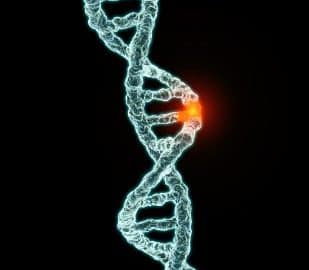 Des gènes aux médicaments : une nouvelle approche dans la prise en charge du trouble d’usage d’alcool développée dans Psychopharmacology