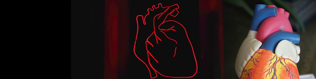 tabac-complications-maladies-cardiovasculaires
