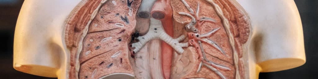 tabac-complications-maladies-pulmonaires