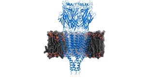 Addiction Autres drogues - Intérêt de la caractérisation pharmacologique in vitro des nouvelles substances psychoactives