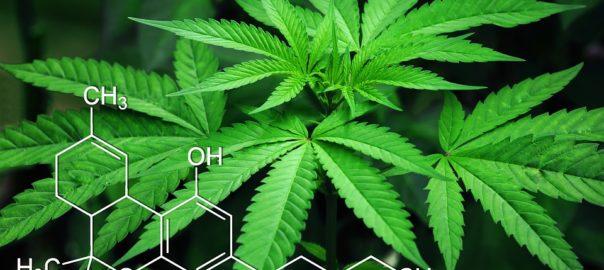 La façon d’inhaler le cannabis joue sur sa toxicité (PourquoiDocteur)