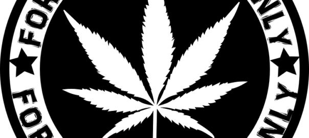 Le cannabis thérapeutique, « je n’ai trouvé que ça qui me soulage vraiment » - Le Monde