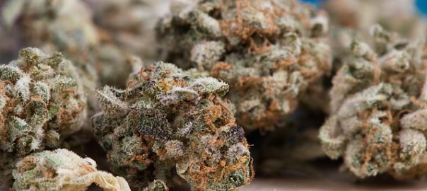 Consommer du cannabis à l’adolescence augmenterait le risque de dépression