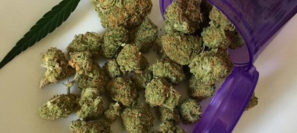 Quel rapport entre Baudelaire et les souris ? Un modèle d’ingestion volontaire de pâte alimentaire au cannabis décrit dans Drug & Alcohol Dependence