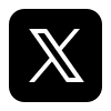 Icône X 2