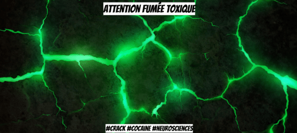 La toxicité spécifiques du crack, un article du Maad-Digital