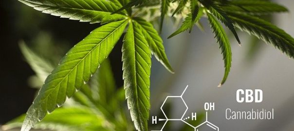 Cannabidiol : « Tant que la réglementation n’est pas claire et que la consommation n’est pas encadrée, je ne le prescris pas et je ne le préconise pas. »