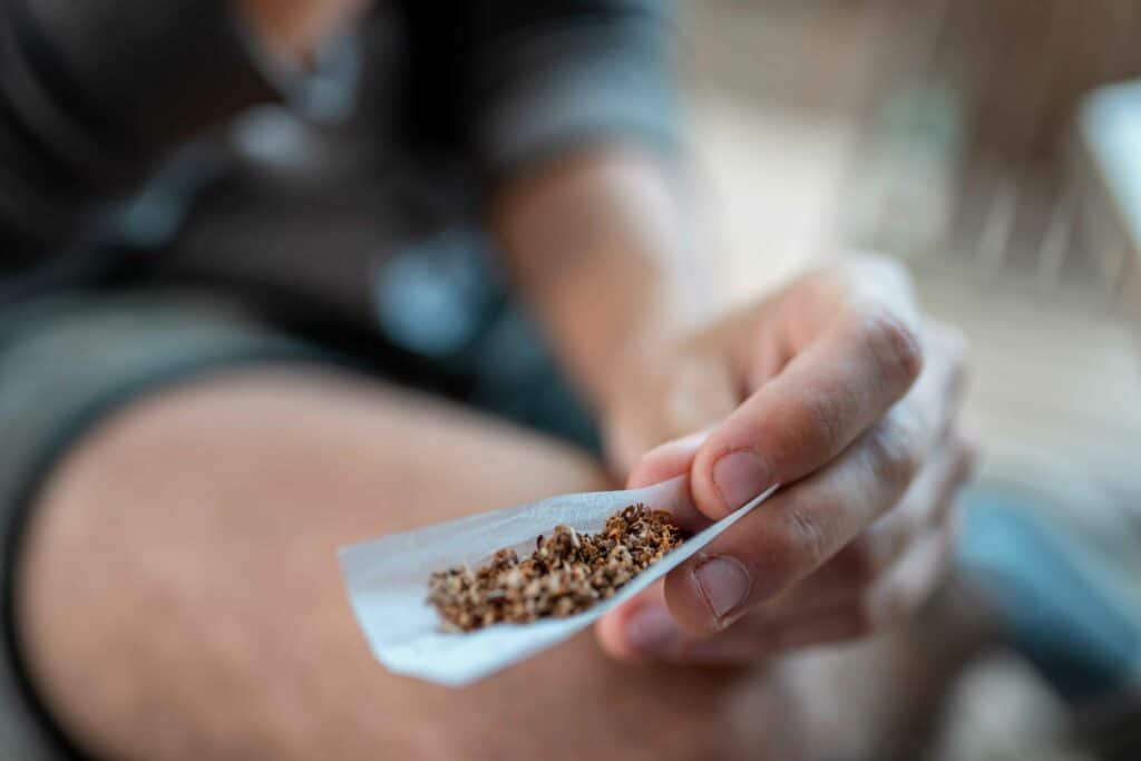 La co-consommation de tabac et de cannabis est associée à une moindre activité du système encannabinoïde qui nuit à la plasticité cérébrale