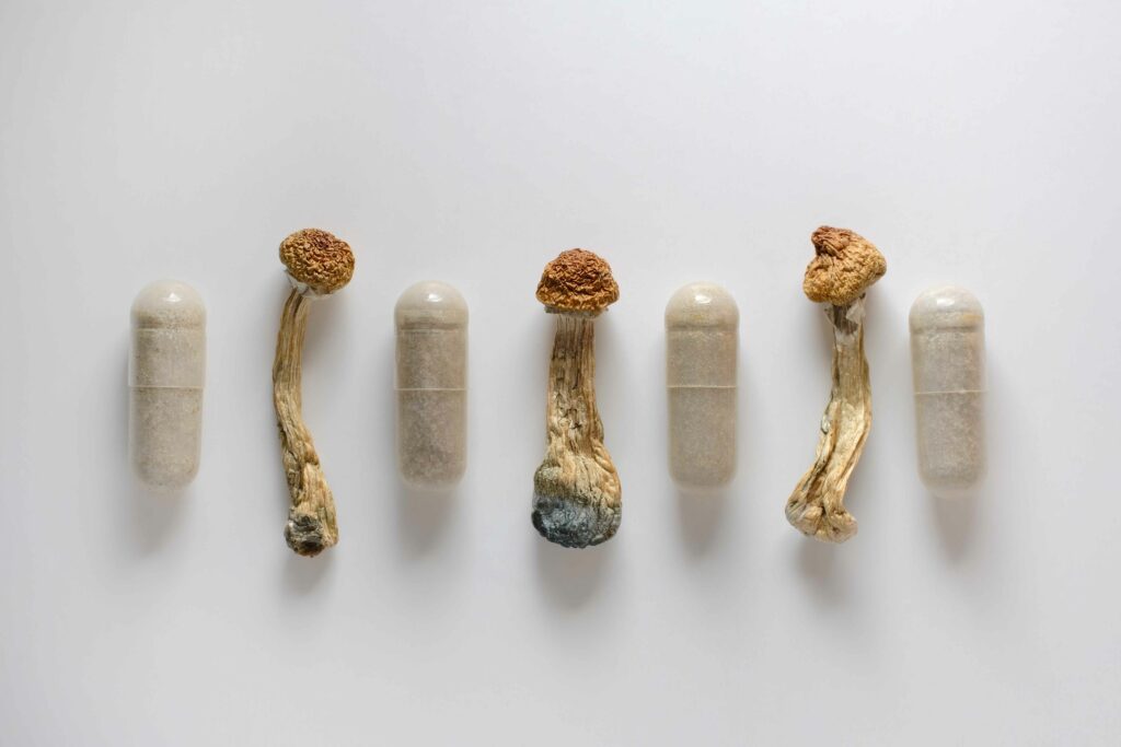 La psilocybine principe actif des champignons hallucinogènes montre un potentiel contre l'addiction à la cocaïne