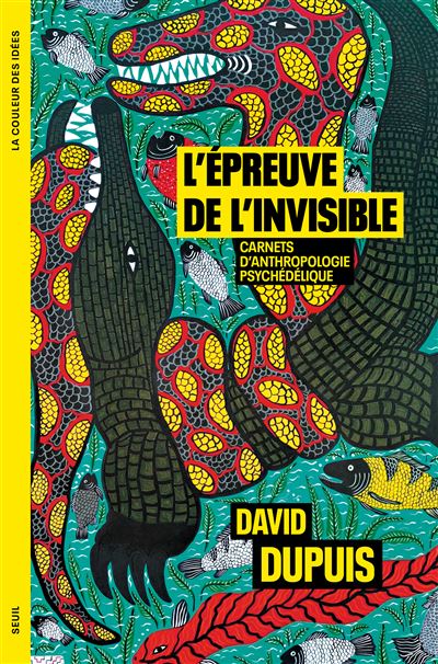 L'épreuve de l'invisible un récit de David Dupuis