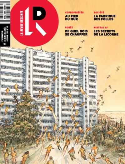 Revue dessinée #53 un peu moins seuls une enquête dessinée de Cécile Massin et Matthieu Parciboula